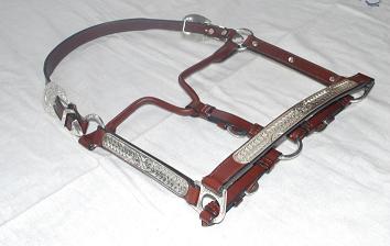 Manufacturers Exporters and Wholesale Suppliers of Show Halter Kanpur Uttar Pradesh